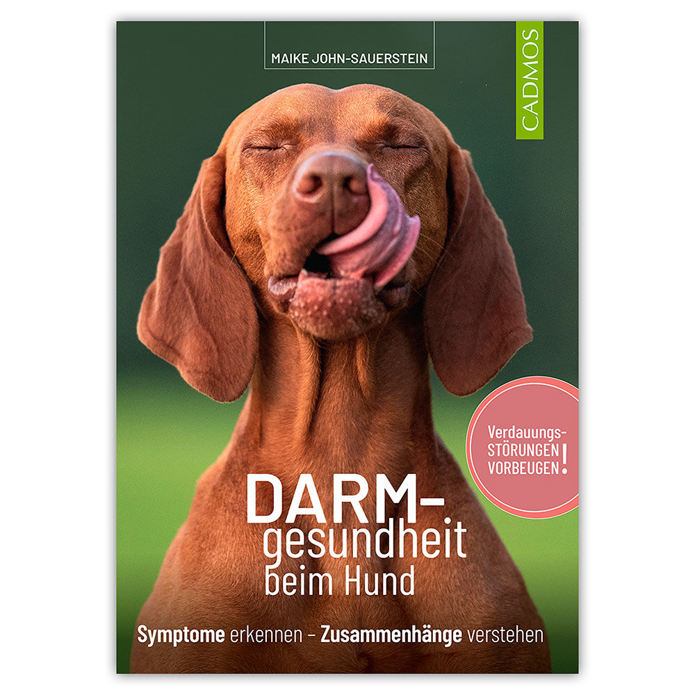 DARM-gesundheit beim Hund