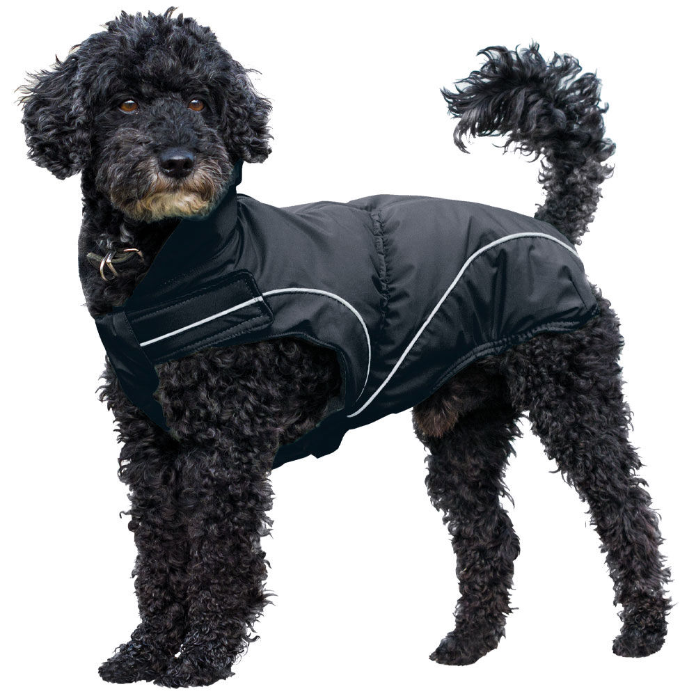 DogBite Regenjacke, Farbe: Schwarz