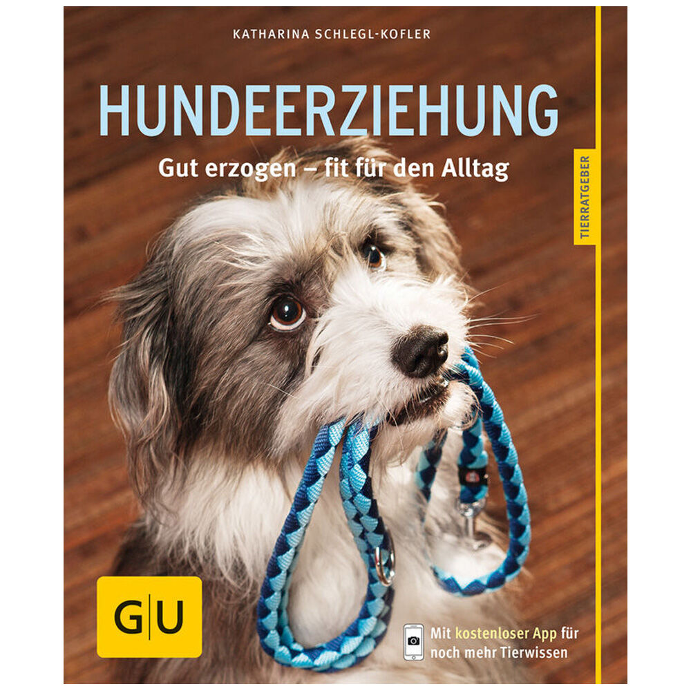 Hundeerziehung: Gut erzogen - fit fr den Alltag