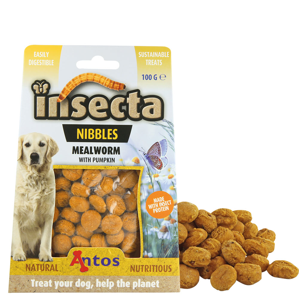 Insecta Nibbles Mealworm (Mehlwurm Krbis)