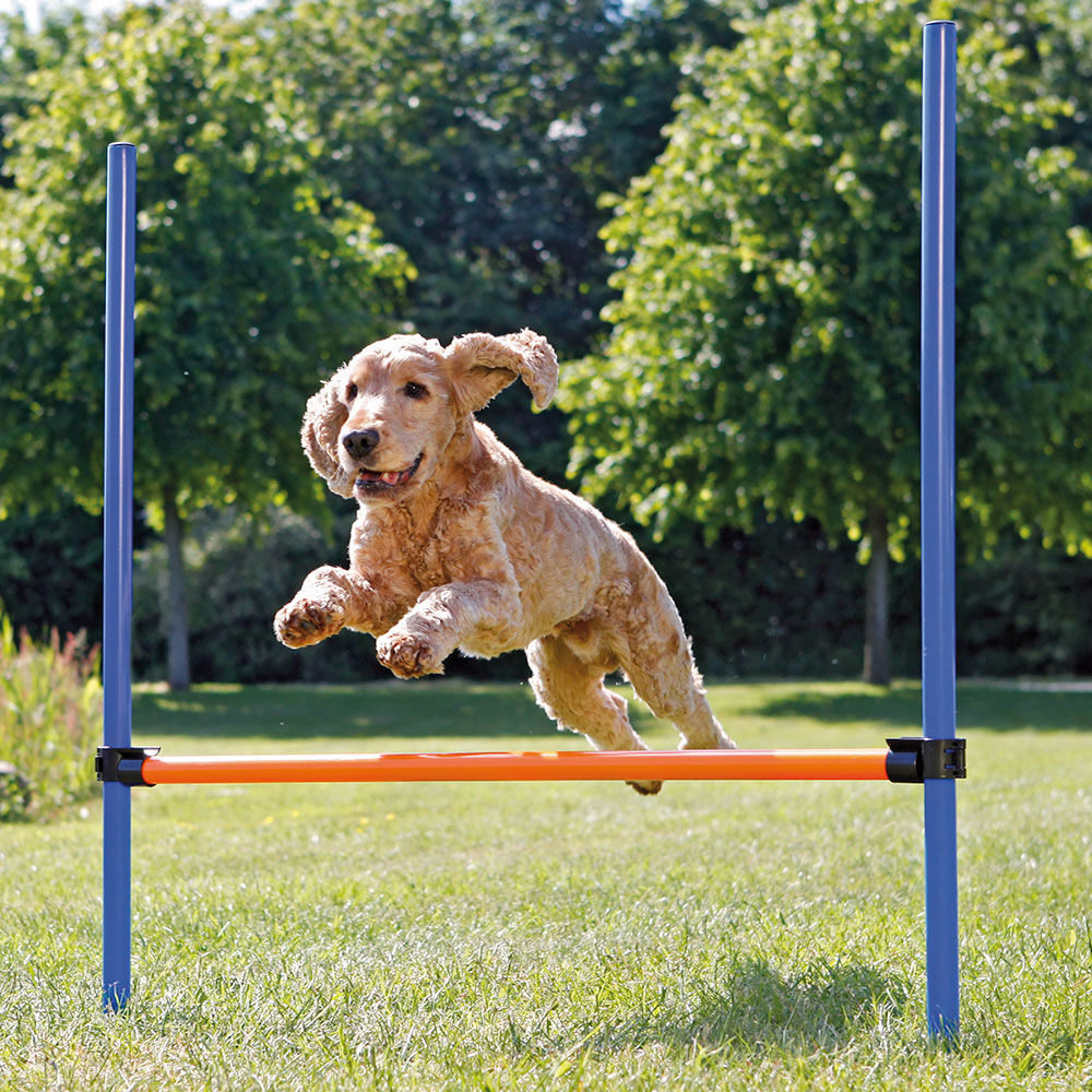 Procyon Agility-Hrden-Set