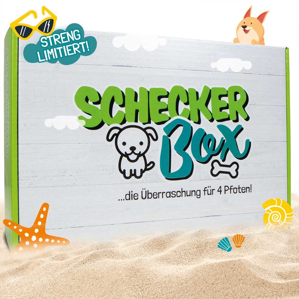 Schecker Sommer-Box