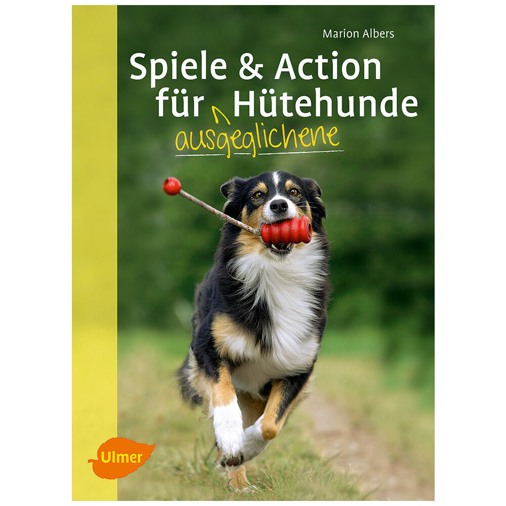 Spiele und Action fr ausgeglichene Htehunde: Border Collie, Australian Shepherd und Co. rassegerecht auslasten