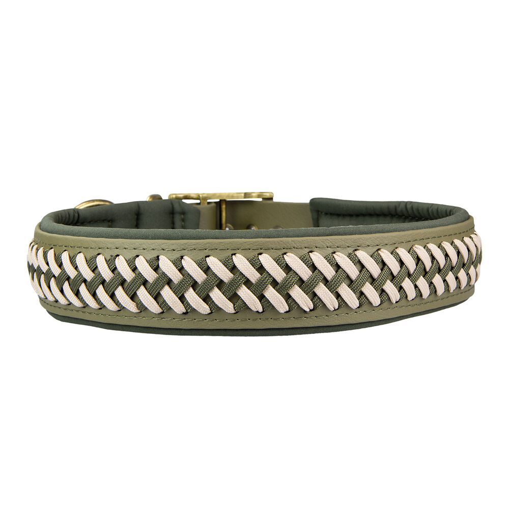 Trendfhrte Hundehalsband BioThane