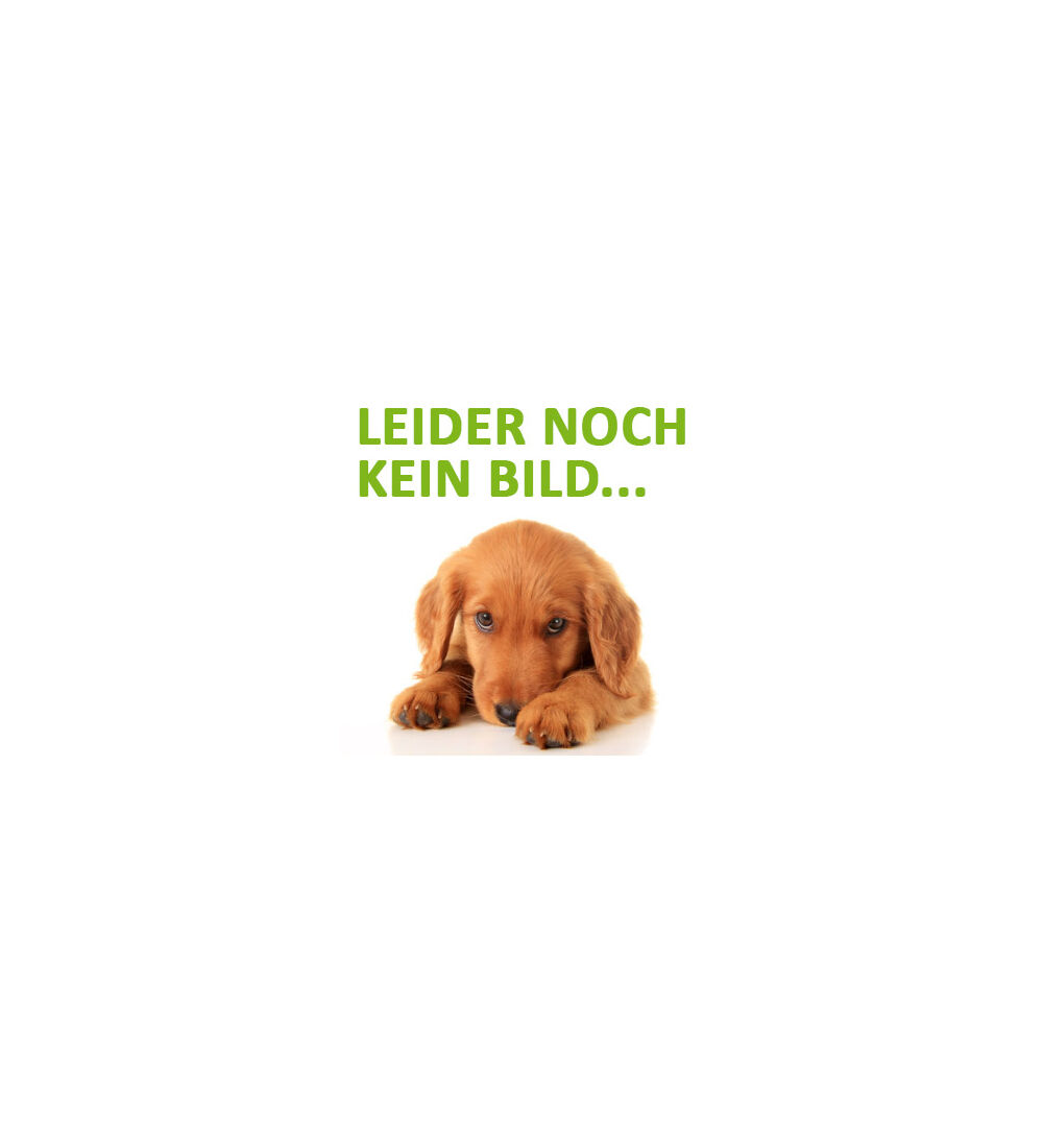 Webinar: Warum bellt mein Hund