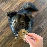 Chipies - Krosse fleischige Chips-Taler für Hunde, Sorte: Rind