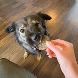 Chipies - Krosse fleischige Chips-Taler für Hunde