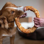 MAXI-Kausnacks
