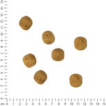 Hunde-Pralinen mit Ginseng- und Gojigeschmack