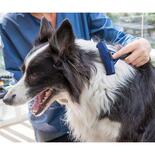 Furminator deShedding - fr langhaarige Hunde