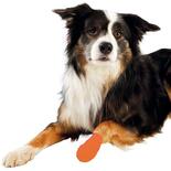 Hunde-Bandagen Anti-Knabber