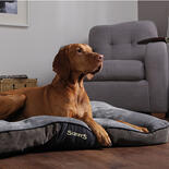Hundekissen SCRUFFS Chester - Graphite -