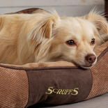 SCRUFFS Chester Box Bett - Chocolate -