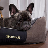 SCRUFFS Chester Box Bett - Graphit -