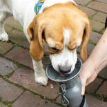 Hunde-Trinkflasche NIA