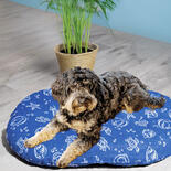 Kiwi & Friends Hunde-Liegekissen
