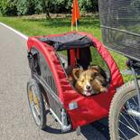 Pet Traveler Fahrradanhänger für Hunde