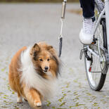 Fahrradhalter - Biker