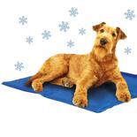 Nobby Khl-Matte fr Hunde - blau -