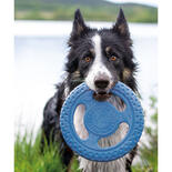 Kiwi Walker Frisbee