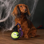 Halloween Plsch Giftflasche mit Seil