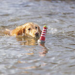 Trixie Hundespielzeug Aqua Toy Leuchtturm am Seil