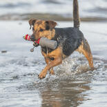 Trixie Hundespielzeug Aqua Toy Leuchtturm am Seil