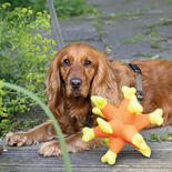 Trixie Hundespielzeug Aqua Toy Seeigel