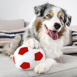 Procyon Indoor-Fussball
