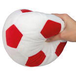 Procyon Indoor-Fussball