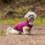Hundemantel Arlay 