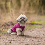 Hundemantel Arlay 