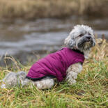 Hundemantel Arlay 