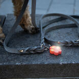 USB Blinkie Pfote