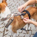 Trixie Panik-Adapter Stay fr Geschirre