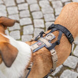 Trixie Panik-Adapter Stay fr Geschirre