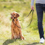 Trainer-Halter - Trainingsgeschirr