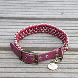 Trendfährte Hundehalsband Paracord