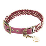 Trendfährte Hundehalsband Paracord
