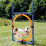 Procyon Agility-Reifen-Set