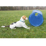 Procyon Agility Tunnel, 300 x 50 cm