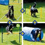 Procyon Dog Agility Set - gro -