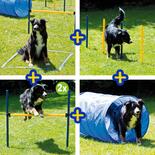 Dog Agility Set - gro -