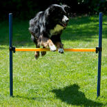 Dog Agility Starter-Set