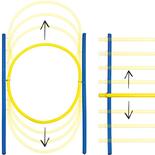 Dog Agility Set S/M