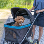 Buggy fr Hunde L