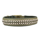 Trendfhrte Hundehalsband BioThane