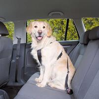 Hundegurt Auto  Online Shop Gonser - Sicher & Günstig einkaufen