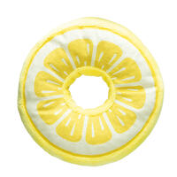 Hundespielzeug Fruity Donut