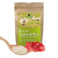 Men mit Lamm und Reis